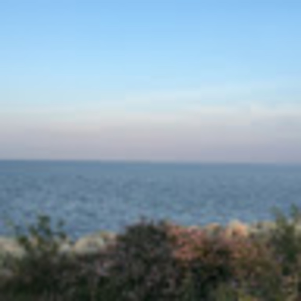 Meet your Posher, Charlie